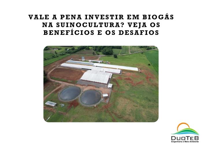 Vale a Pena Investir em Biogás na Suinocultura? Veja os Benefícios e os Desafios