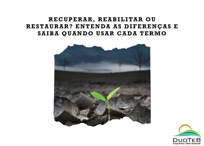Recuperar, reabilitar ou restaurar? Entenda as diferenças e saiba quando usar cada termo Recuperar, reabilitar ou restaurar? Entenda as diferenças e saiba quando usar cada termo