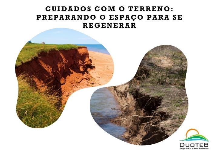 Cuidados com o terreno: preparando o espaço para se regenerar