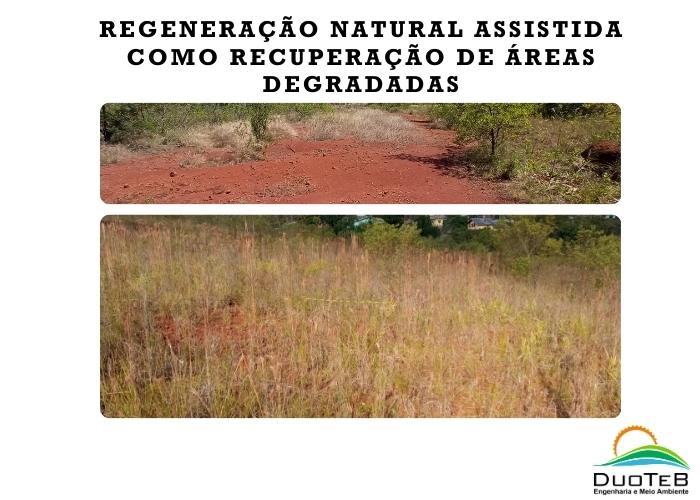 Regeneração Natural Assistida como recuperação de áreas degradadas Regeneração Natural Assistida como recuperação de áreas degradadas