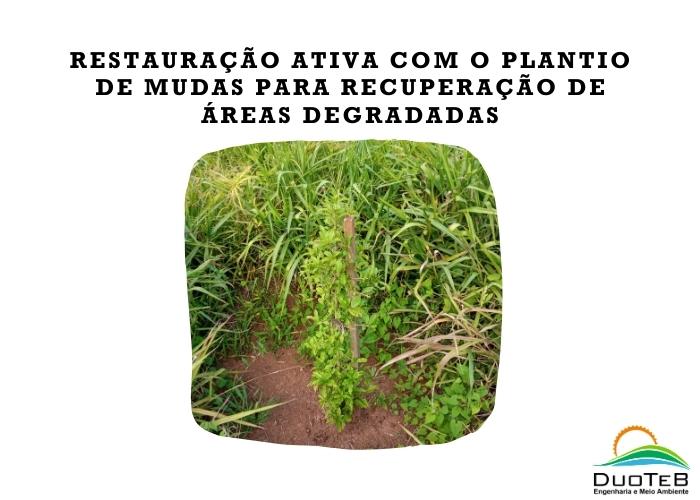 Restauração ativa com o plantio de mudas para recuperação de áreas degradadas Restauração ativa com o plantio de mudas para recuperação de áreas degradadas