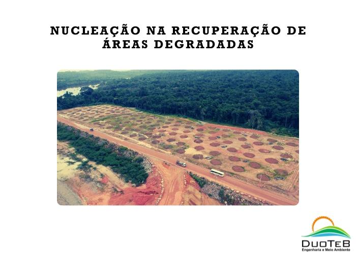 Nucleação na recuperação de áreas degradadas
